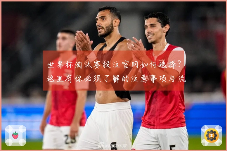 世界杯淘汰赛投注官网如何选择？这里有你必须了解的注意事项与流程解析