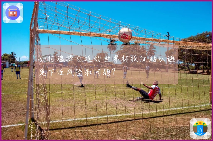 如何选择合适的世界杯投注站以避免下注风险和问题？