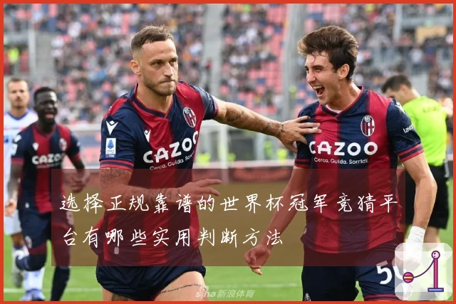 选择正规靠谱的世界杯冠军竞猜平台有哪些实用判断方法